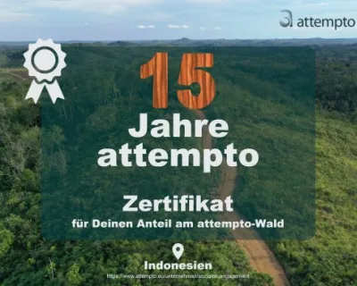attempto Donates an Entire Forest for Its 15th Company Anniversary